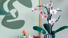 LEGO Creator mang phong lan và cây mọng nước tới Bộ sưu tập Thực vật của mình