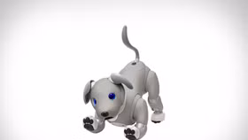 Sony ra mắt chú chó Robot Aibo phiên bản giới hạn
