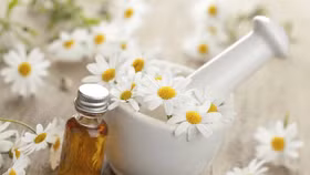 Bí quyết làm đẹp da từ những cánh hoa cúc mỏng manh