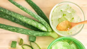 Những tác dụng bất ngờ của lô hội
