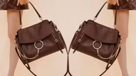 Bag Profile: Chiếc túi Faye Handle Bag của thương hiệu Chloe