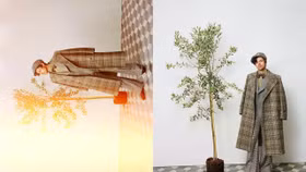 Bộ ảnh Harry Styles x Gucci HA HA HA thế giới vui tươi của nam giới