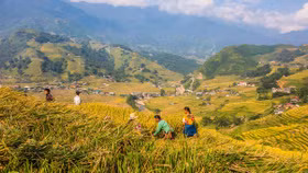Du lịch Sapa: Chuyến đi trắc trở của cô nàng “bánh bèo”
