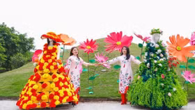 Từ Sa Pa, Đà Nẵng đến Tây Ninh, Phú Quốc, ngập tràn niềm vui du xuân