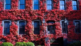 Những địa điểm lý tưởng để tận hưởng cảnh sắc mùa thu tuyệt đẹp ở Melbourne