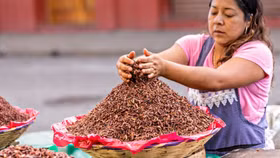 Những món ăn độc lạ nên thử khi đển Mexico