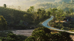 Tôi đã quên đi chính mình ở Năm Mùa Bungalows