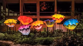 Lạc lối ở “Khu vườn hoa thủy tinh” - Gardens by the Bay, Singapore