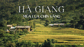 Hà Giang mùa lúa chín vàng khắp vùng trời phía Bắc nước ta