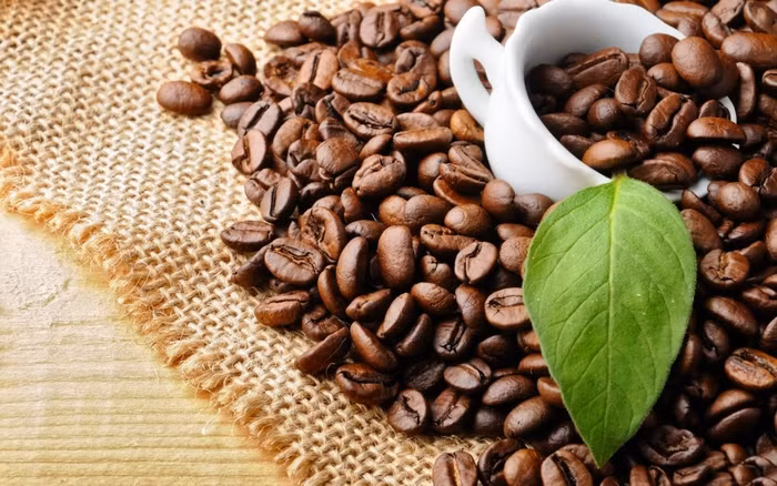 Xuất khẩu cà phê tăng trưởng ấn tượng đầu năm