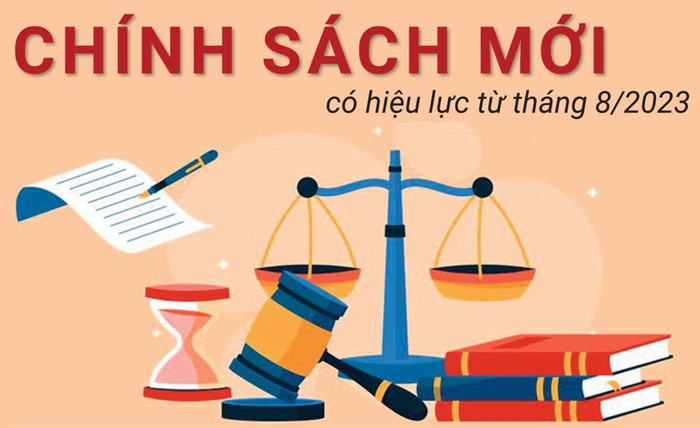 Chính sách mới 