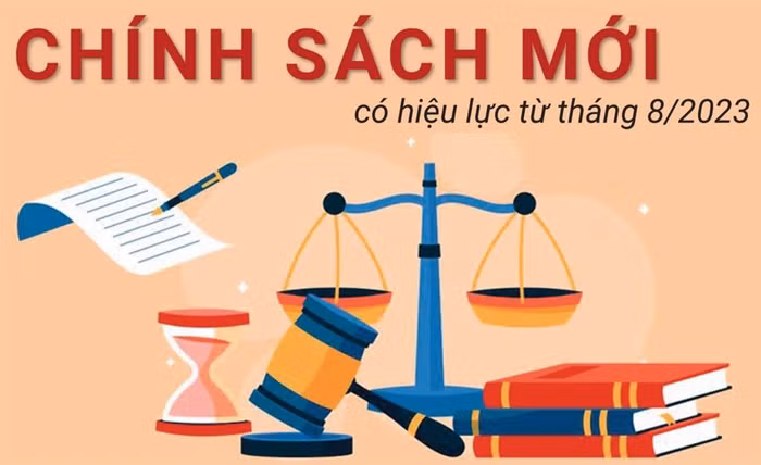 Chính sách mới 