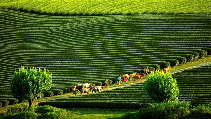 Gợi ý những địa điểm du lịch không thể bỏ lỡ vào tháng 10