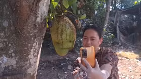 Tranh nhau “tự sướng” và thắp hương cúng lạy quả mít có hình mặt người