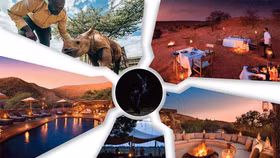 Châu Phi và những chuyến safari tuyệt vời nhất vào ban đêm