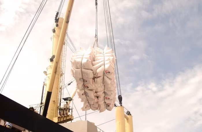 Thị trường gạo thế giới năm 2025 được dự báo sẽ có nhiều biến động