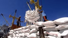 Doanh nghiệp xuất khẩu gạo Việt Nam có cơ hội lớn tại Indonesia