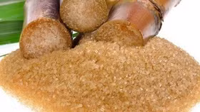 Bộ Công Thương đề nghị doanh nghiệp hợp tác điều tra phòng vệ sản phẩm đường mía