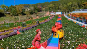 Du lịch Lâm Đồng cán mốc 5,4 triệu lượt khách, sắp hoàn thành kế hoạch năm 2022