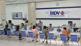 BIDV bối rối xử lý khoản nợ nghìn tỷ của “bông hồng vàng" Phú Yên