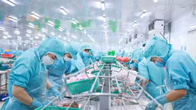 Lãi trước thuế của ASM trong quý IV/2022 giảm 64%