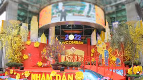 Điểm check in dịp Tết Nhâm Dần không thể bỏ qua giữa lòng Thủ đô