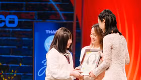 Bông thủy tiên khoe sắc sau cuộc chiến với ung thư