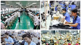 Gần 2% người trong độ tuổi lao động thiếu việc làm