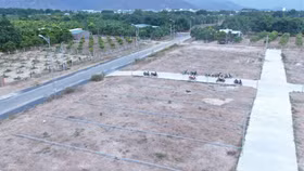 Khánh Hoà yêu cầu công khai quy hoạch, thông tin dự án để chặn “sốt đất ảo”