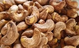 Vụ 100 container hạt điều xuất khẩu sang Italy: Những tiến triển ban đầu