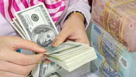 Giảm lượng tiền trong nền kinh tế để chủ động điều chỉnh tỷ giá