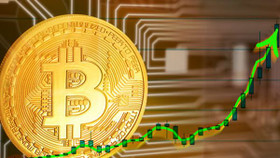 Giá Bitcoin ngày 11/8: Tăng gần chạm mốc 24.000 USD, tổng vốn hóa toàn thị trường vọt tăng