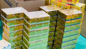 Đình chỉ lưu hành, thu hồi kem chống nắng Intensive UV Sunblock Cream Linh Chi Vàng