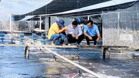 VASEP đề xuất giải pháp cho xuất khẩu thủy sản Đồng bằng sông Cửu Long cất cánh