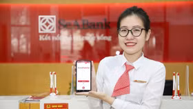 Lợi nhuận của SeABank năm 2022: Tăng 55% với cùng kỳ, nợ xấu còn 1,6%