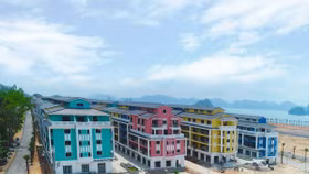 CEO báo lãi vượt kế hoạch năm 2022, nợ vay giảm gần 600 tỷ đồng