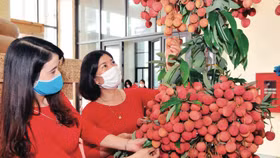 Khi nông sản "lên sàn"