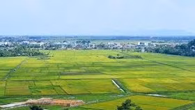 Cử tri Hà Nội đề nghị có cơ chế đặc thù nhằm tháo gỡ vướng mắc đất đai kéo dài