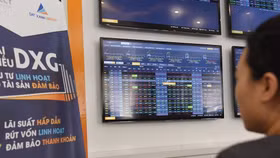 Trái phiếu riêng lẻ lên sàn: Kênh vốn dài hạn có thông?