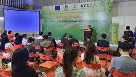 “Thép xanh” – Tiềm năng trong nước và xuất khẩu