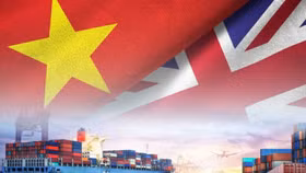 Thành lập nhóm tư vấn trong nước theo quy định của UKVFTA