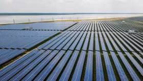 Khả năng rút giấy phép, đình chỉ nhiều dự án điện mặt trời