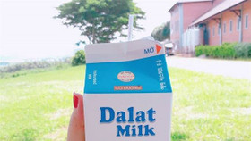 Dalatmilk ra mắt sữa tươi tiệt trùng trong bịch giấy hoàn toàn tự nhiên