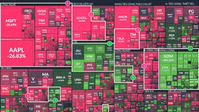 Một năm khó khăn của thị trường chứng khoán Mỹ