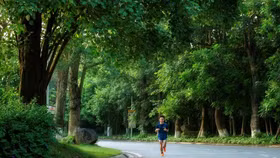 Mùa hè xanh ngắt ở Ecopark