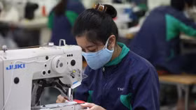 Dệt may TNG đạt doanh thu hơn 4000 tỷ đồng trong 7 tháng đầu năm