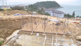 Phó thủ tướng Vũ Đức Đam nói về tạm dừng quy hoạch Sơn Trà