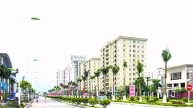 Lợi nhuận quý 2/2017 Tasco sụt giảm mạnh