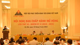 Hội nghị BCH VACOD lần thứ 10, nhiệm kỳ II: Thông qua nhiều nội dung quan trọng