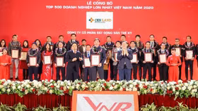 CRE báo lãi gần 302 tỷ đồng trong năm 2020